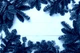 preview cold