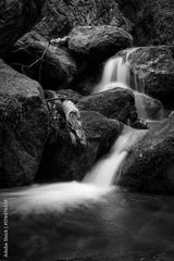 preview bw