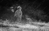 preview bw