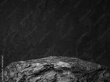 preview bw