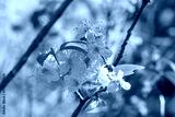 preview cold