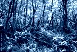 preview cold