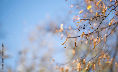image to crop