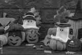 preview bw