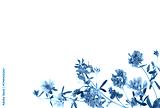 preview cold