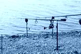 preview cold