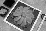 preview bw