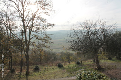 image to crop