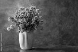 preview bw