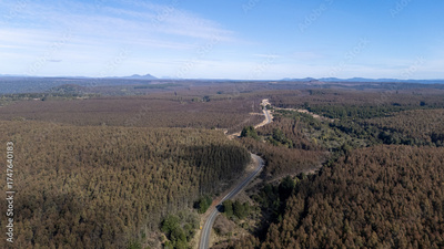 image to crop