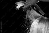 preview bw