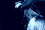 preview cold