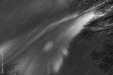 preview bw