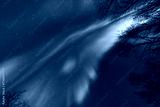 preview cold