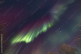 preview original