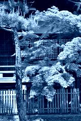 preview cold