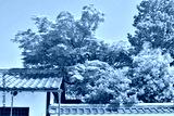 preview cold