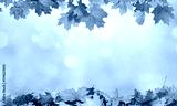 preview cold