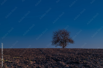 image to crop