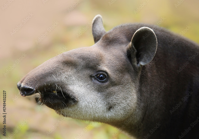 image to crop