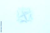 preview cold