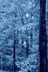 preview cold