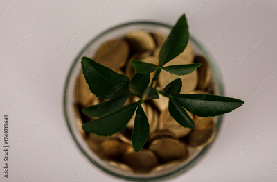 image to crop