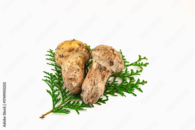 image to crop