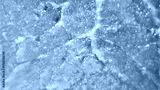preview cold