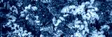 preview cold