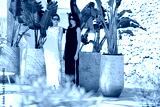 preview cold