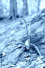 preview cold
