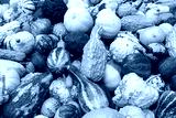 preview cold