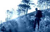 preview cold