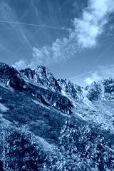 preview cold