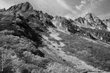 preview bw