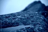preview cold