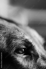 preview bw