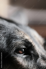 preview original