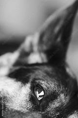 preview bw