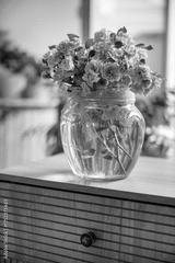 preview bw