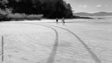 preview bw