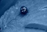 preview cold