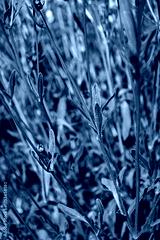 preview cold