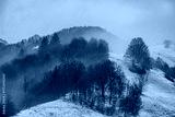 preview cold