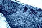 preview cold
