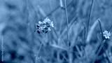 preview cold