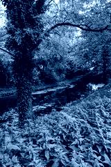 preview cold
