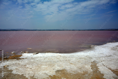 image to crop