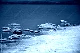 preview cold